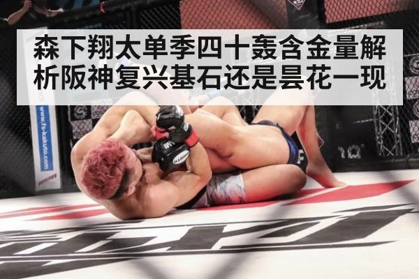 森下翔太单季四十轰含金量解析阪神复兴基石还是昙花一现